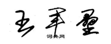 朱錫榮王軍壘草書個性簽名怎么寫