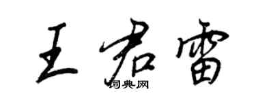 王正良王君雷行書個性簽名怎么寫