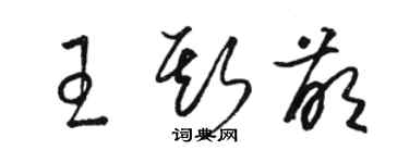 駱恆光王斯萌草書個性簽名怎么寫