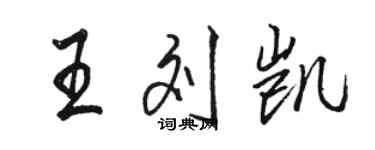 駱恆光王劉凱行書個性簽名怎么寫