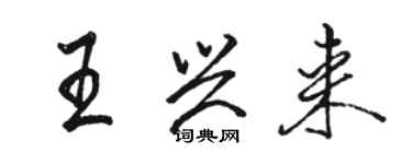 駱恆光王興來行書個性簽名怎么寫