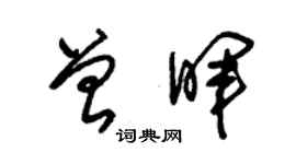 朱錫榮曾暉草書個性簽名怎么寫