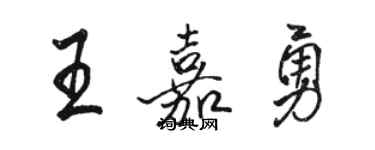 駱恆光王嘉勇行書個性簽名怎么寫