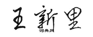 駱恆光王新里行書個性簽名怎么寫