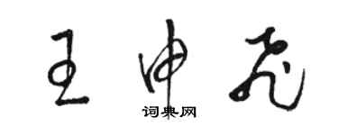 駱恆光王申飛草書個性簽名怎么寫