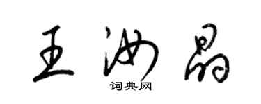 梁錦英王汝晶草書個性簽名怎么寫