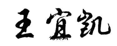 胡問遂王宜凱行書個性簽名怎么寫