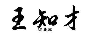 胡問遂王知才行書個性簽名怎么寫