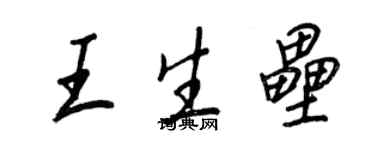 王正良王生壘行書個性簽名怎么寫