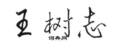 駱恆光王樹志行書個性簽名怎么寫