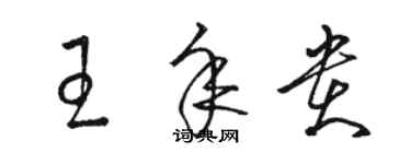 駱恆光王年貴草書個性簽名怎么寫