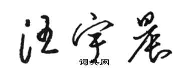 駱恆光汪宇晨草書個性簽名怎么寫