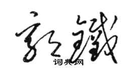 駱恆光郭鐵草書個性簽名怎么寫