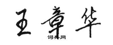 駱恆光王章華行書個性簽名怎么寫