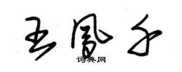 朱錫榮王鳳千草書個性簽名怎么寫