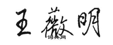 駱恆光王薇明行書個性簽名怎么寫