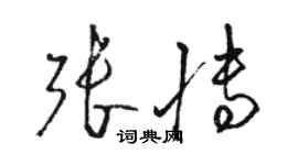 駱恆光張博草書個性簽名怎么寫