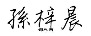 王正良孫梓晨行書個性簽名怎么寫