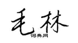 王正良毛林行書個性簽名怎么寫