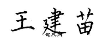 何伯昌王建苗楷書個性簽名怎么寫