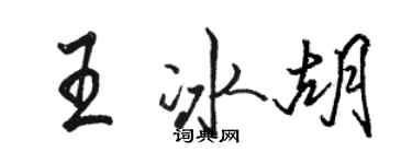 駱恆光王冰胡行書個性簽名怎么寫