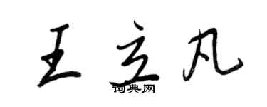 王正良王立凡行書個性簽名怎么寫