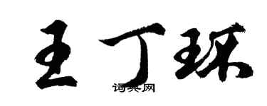 胡問遂王丁環行書個性簽名怎么寫