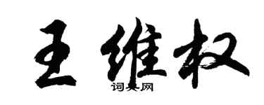 胡問遂王維權行書個性簽名怎么寫