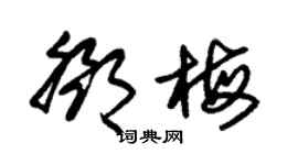 朱錫榮鄧梅草書個性簽名怎么寫
