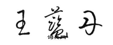 駱恆光王藍丹草書個性簽名怎么寫