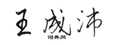 駱恆光王成沛行書個性簽名怎么寫