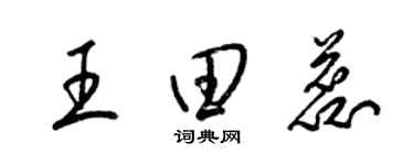 梁錦英王田蕊草書個性簽名怎么寫