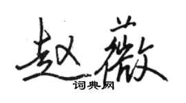 駱恆光趙薇行書個性簽名怎么寫