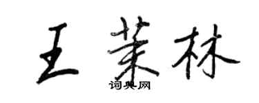 王正良王茉林行書個性簽名怎么寫