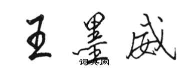 駱恆光王墨威行書個性簽名怎么寫