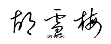 梁錦英胡雪梅草書個性簽名怎么寫