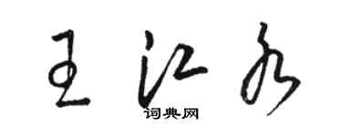 駱恆光王江水草書個性簽名怎么寫