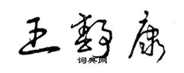 曾慶福王靜康草書個性簽名怎么寫