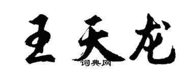 胡問遂王天龍行書個性簽名怎么寫