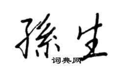 王正良孫生行書個性簽名怎么寫