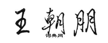 駱恆光王朝朋行書個性簽名怎么寫