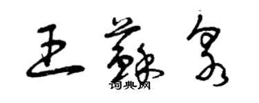 曾慶福王蘇泉草書個性簽名怎么寫