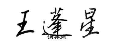 王正良王蓬星行書個性簽名怎么寫