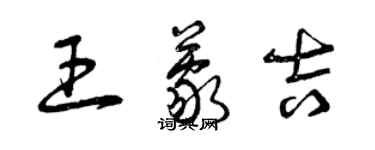 曾慶福王蒙吉草書個性簽名怎么寫