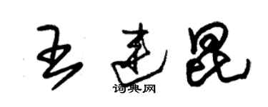 朱錫榮王連昆草書個性簽名怎么寫