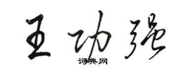 駱恆光王功強行書個性簽名怎么寫