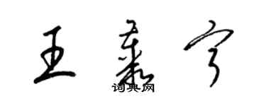 梁錦英王叢寧草書個性簽名怎么寫