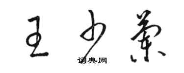 駱恆光王少蘭草書個性簽名怎么寫