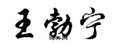 胡問遂王勃寧行書個性簽名怎么寫