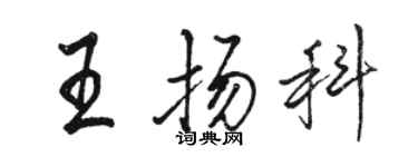 駱恆光王揚科行書個性簽名怎么寫